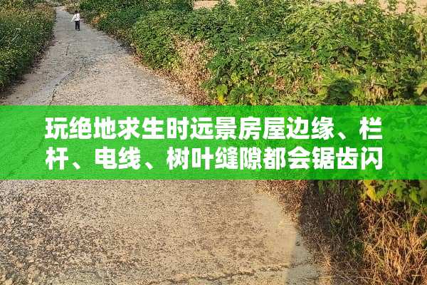 玩绝地求生时远景房屋边缘、栏杆、电线、树叶缝隙都会锯齿闪烁，这问题就没人知道吗？
