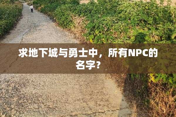 求**城与勇士中，所有NPC的名字？