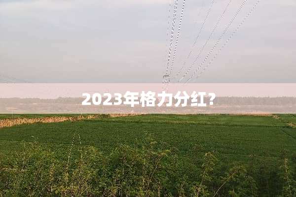 2023年格力分红？