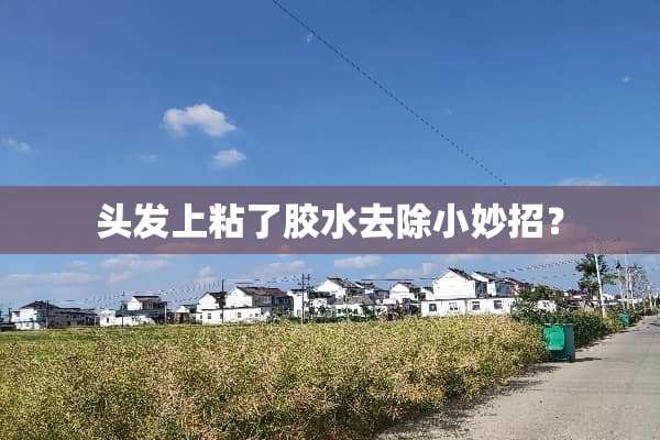 头发上粘了胶水去除小妙招？