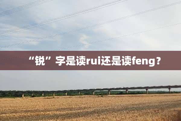 “锐”字是读rui还是读feng？