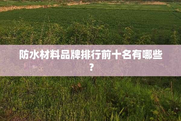 防水材料品牌排行前十名有哪些？