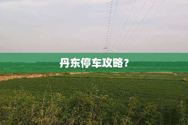 丹东停车攻略？