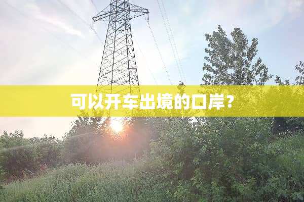 可以开车出境的口岸？