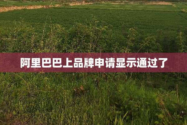 阿里巴巴上品牌申请显示通过了