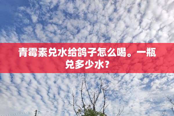 青霉素兑水给鸽子怎么喝。一瓶兑多少水？