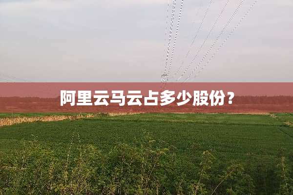 阿里云马云占多少股份？
