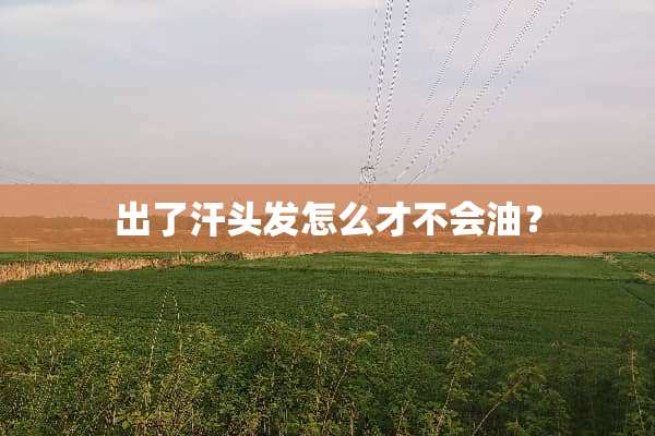 出了汗头发怎么才不会油？
