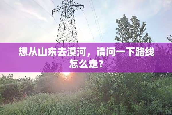 想从山东去漠河，请问一下路线怎么走？