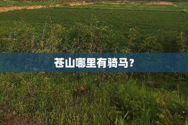苍山哪里有骑马？