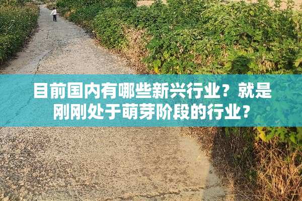 目前国内有哪些新兴行业？就是刚刚处于萌芽阶段的行业？