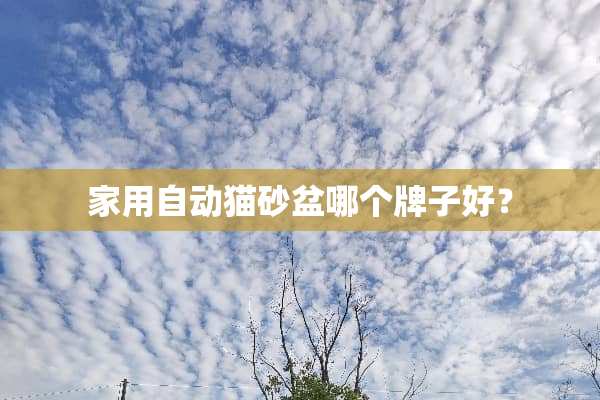 家用自动猫砂盆哪个牌子好？