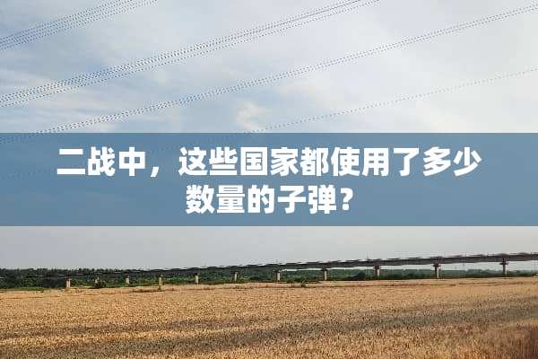 二战中，这些国家都使用了多少数量的**？