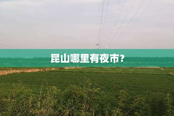 昆山哪里有夜市？