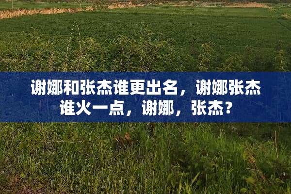 谢娜和张杰谁更出名，谢娜张杰谁火一点，谢娜，张杰？