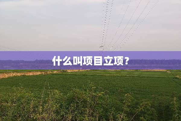 什么叫项目立项？