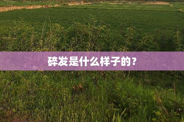 碎发是什么样子的？