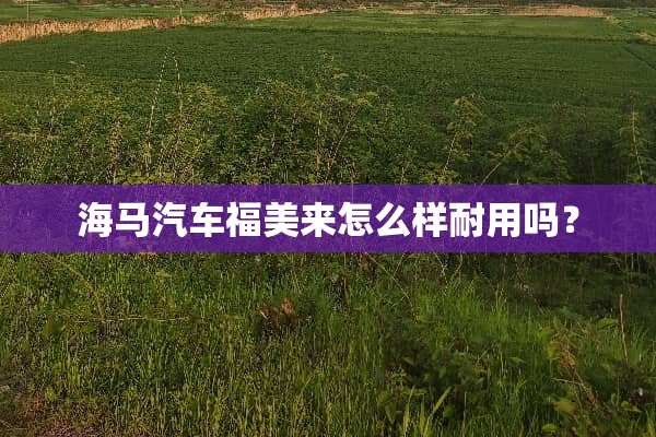 海马汽车福美来怎么样耐用吗？