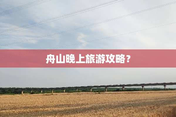 舟山晚上旅游攻略？