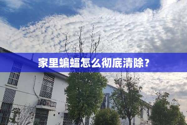 家里蝙蝠怎么彻底清除？