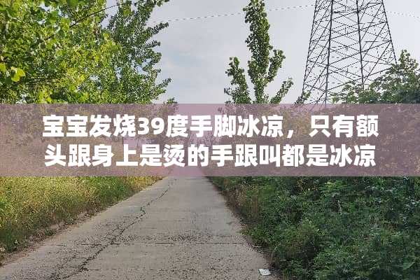 宝宝发烧39度手脚冰凉，只有额头跟身上是烫的手跟叫都是冰凉？