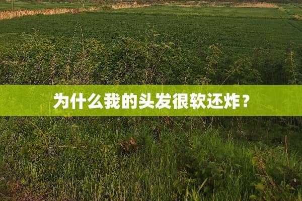 为什么我的头发很软还炸？
