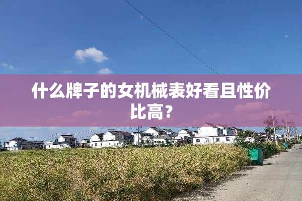 什么牌子的女机械表好看且性价比高？