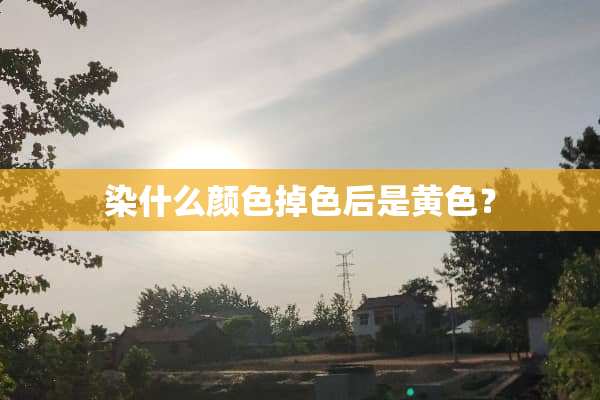 染什么颜色掉色后是黄色？