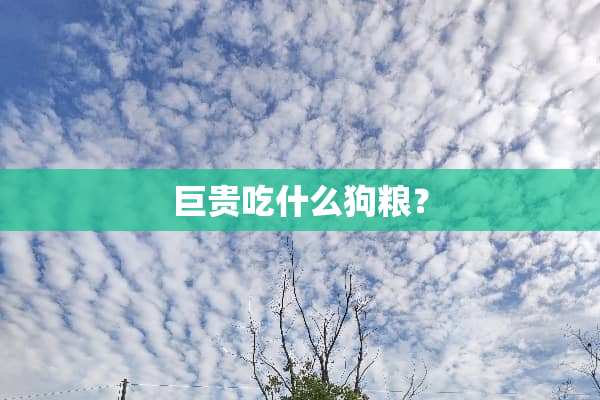 巨贵吃什么狗粮？