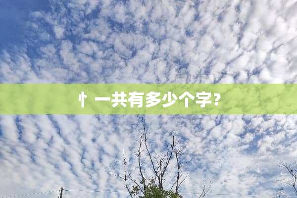 忄一共有多少个字？