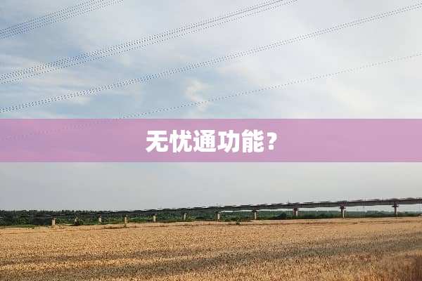 无忧通功能？