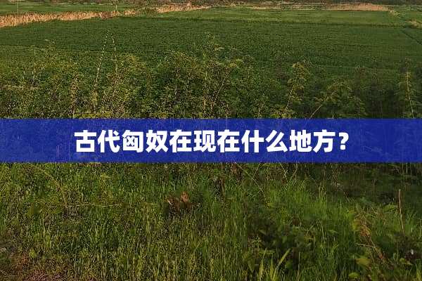 古代匈*在现在什么地方？
