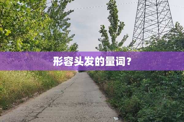 形容头发的量词？