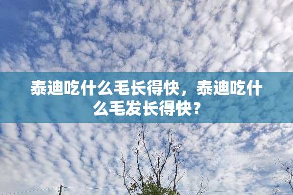 泰迪吃什么毛长得快，泰迪吃什么毛发长得快？