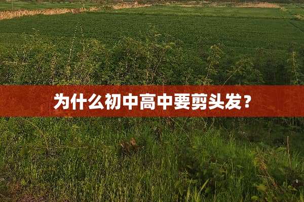 为什么初中高中要剪头发？