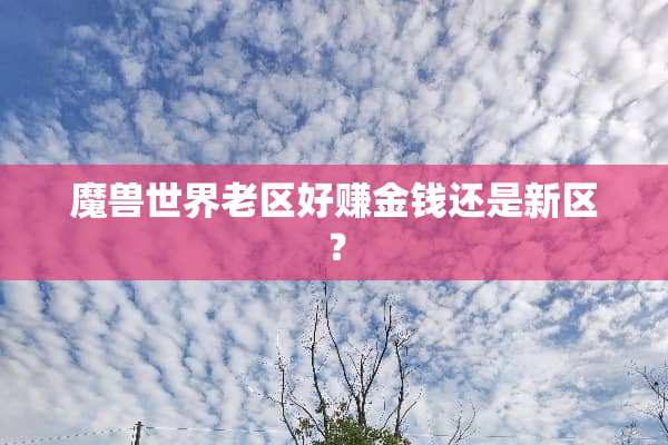 魔兽世界老区好赚金钱还是新区？