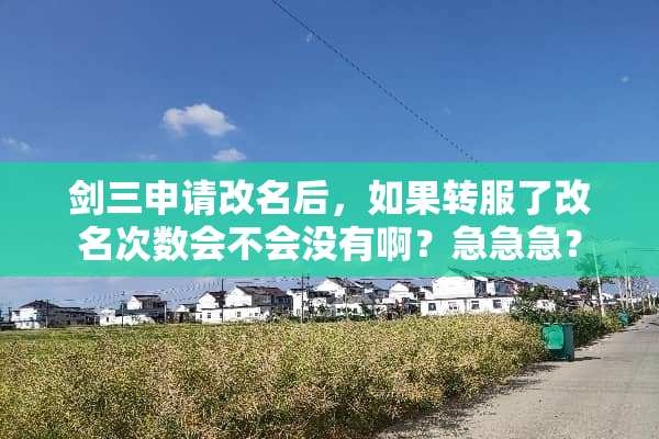 剑三申请改名后，如果转服了改名次数会不会没有啊？急急急？