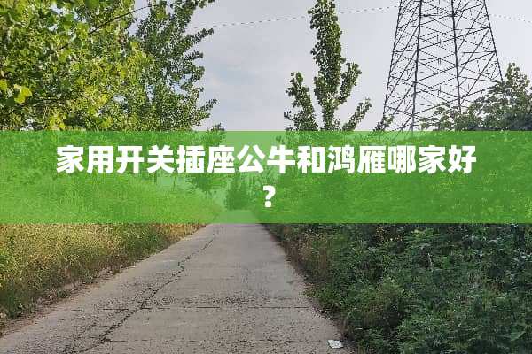 家用开关插座公牛和鸿雁哪家好？