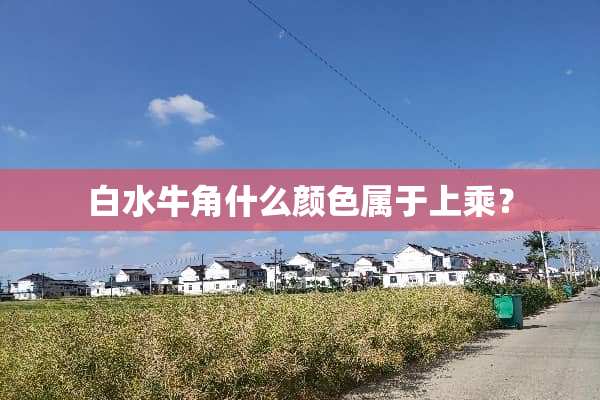 白水牛角什么颜色属于上乘？