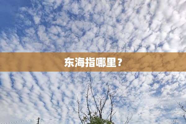 东海指哪里？