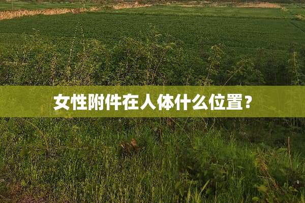 女性附件在人体什么位置？