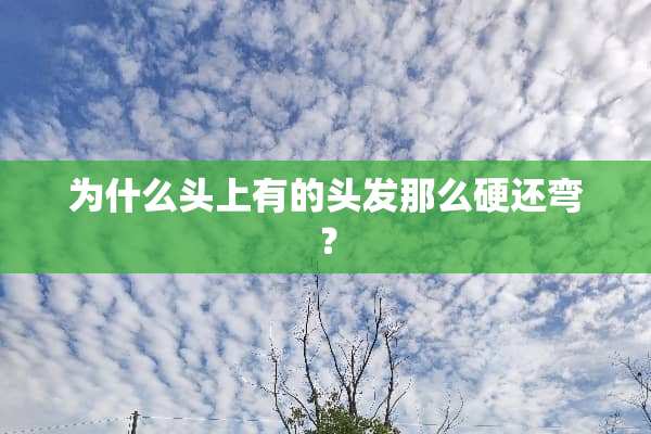 为什么头上有的头发那么硬还弯？