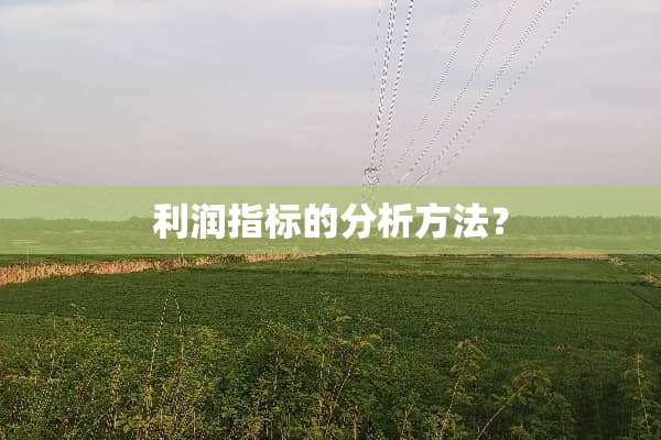 利润指标的分析方法？