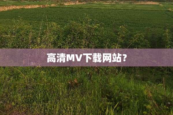 高清MV下载网站？