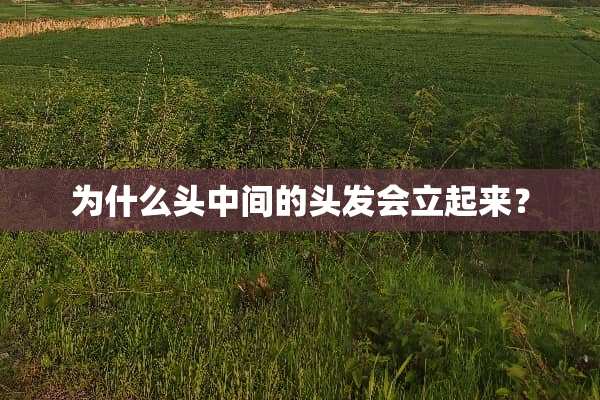 为什么头中间的头发会立起来？