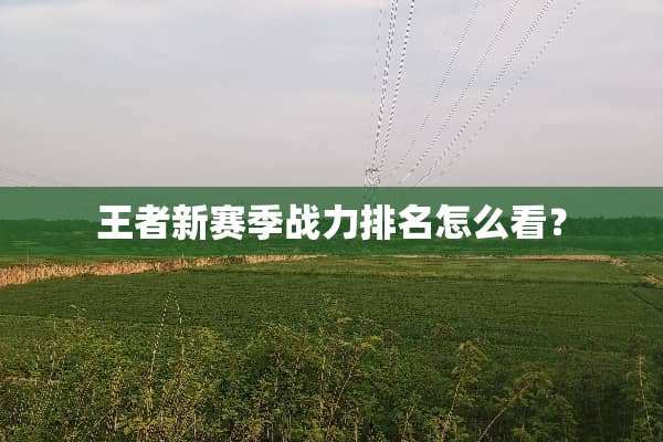 王者新赛季战力排名怎么看？