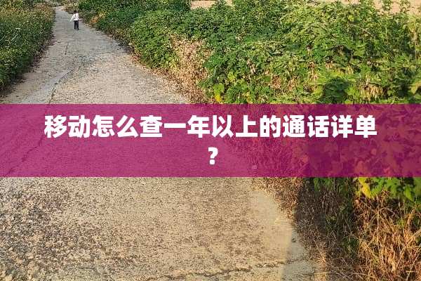 移动怎么查一年以上的通话详单？