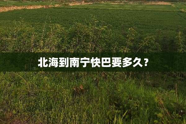 北海到南宁快巴要多久？