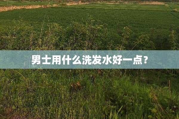 男士用什么洗发水好一点？