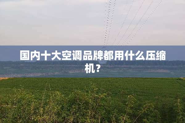 国内十大空调品牌都用什么压缩机？